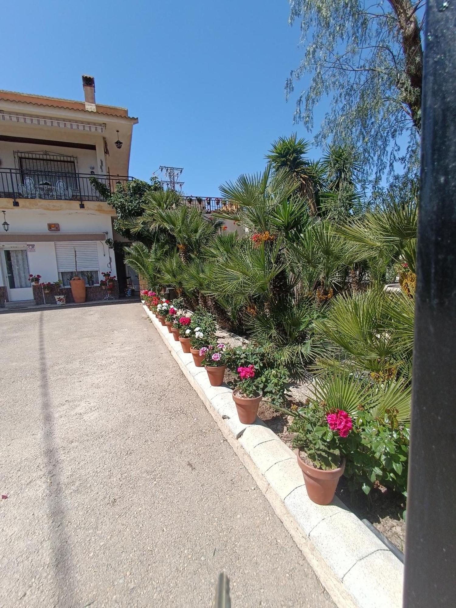 Casa Chalet Venta Ruizo Lorca (Murcia) Exterior foto