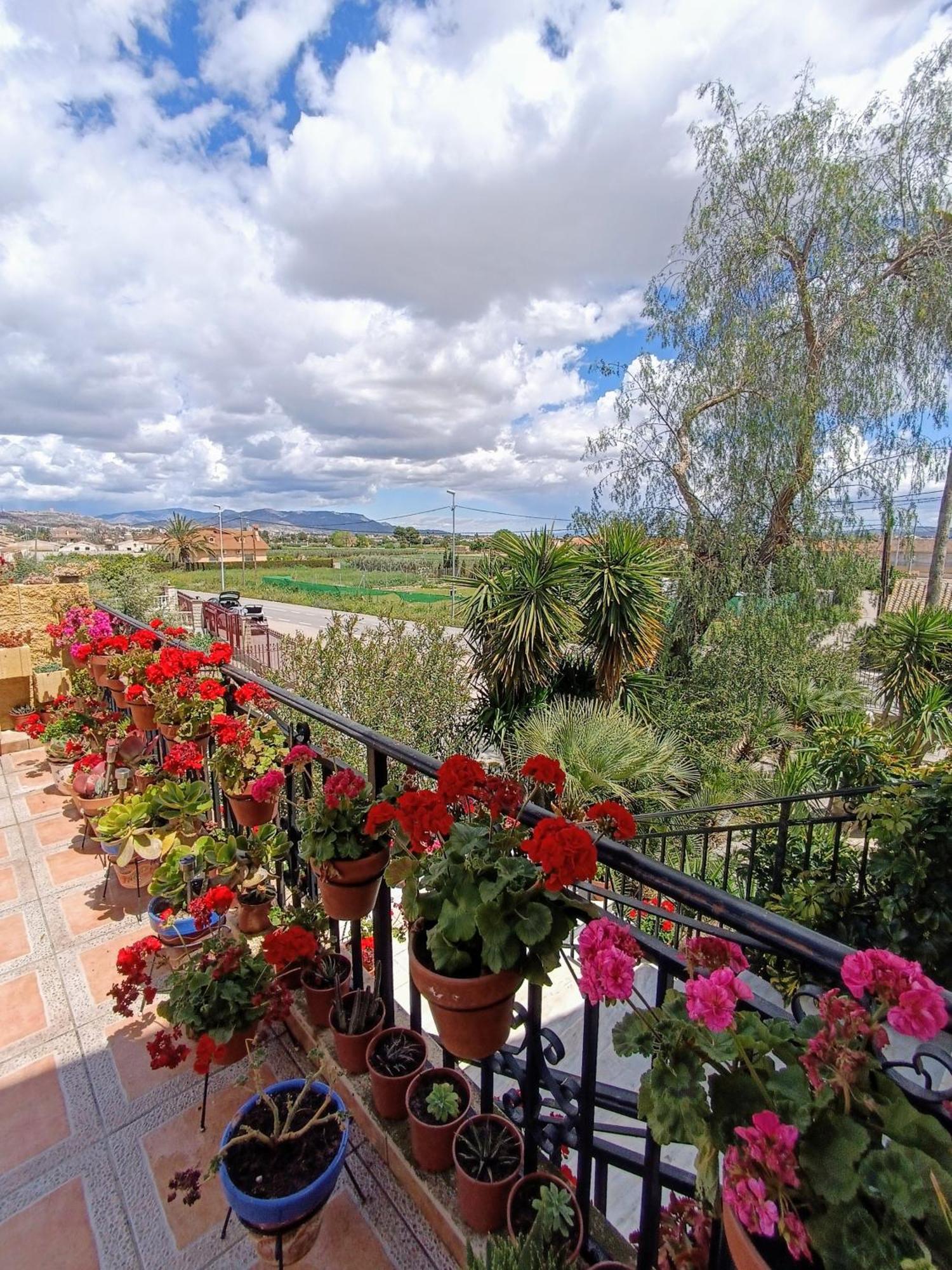 Casa Chalet Venta Ruizo Lorca (Murcia) Exterior foto