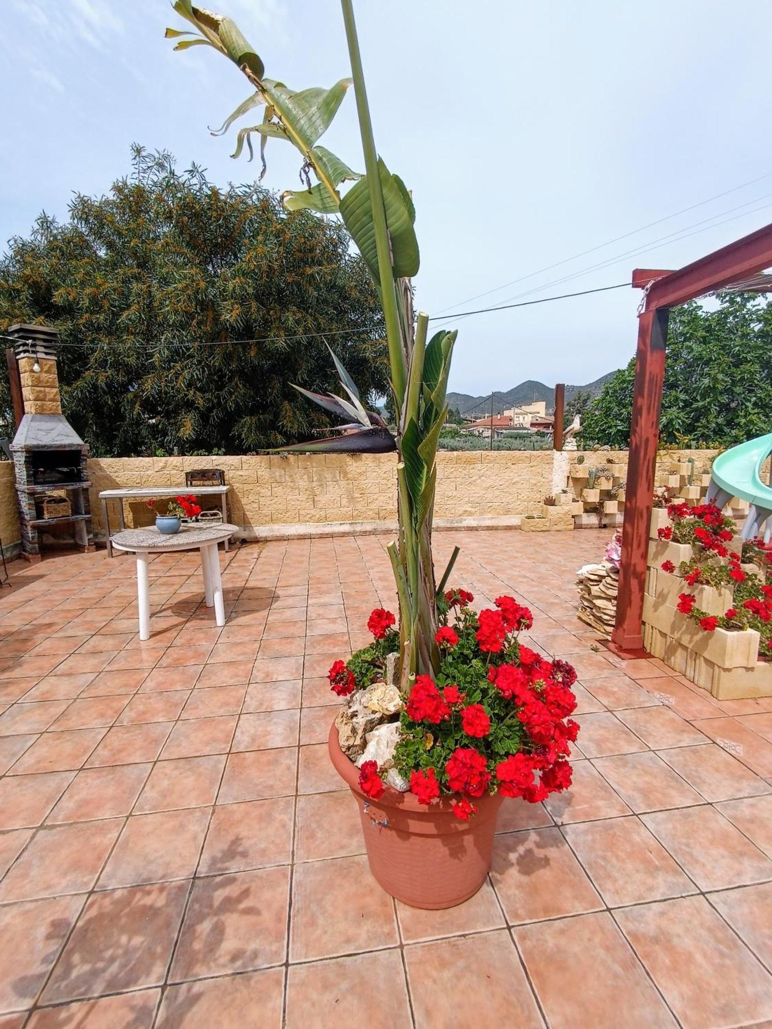 Casa Chalet Venta Ruizo Lorca (Murcia) Exterior foto