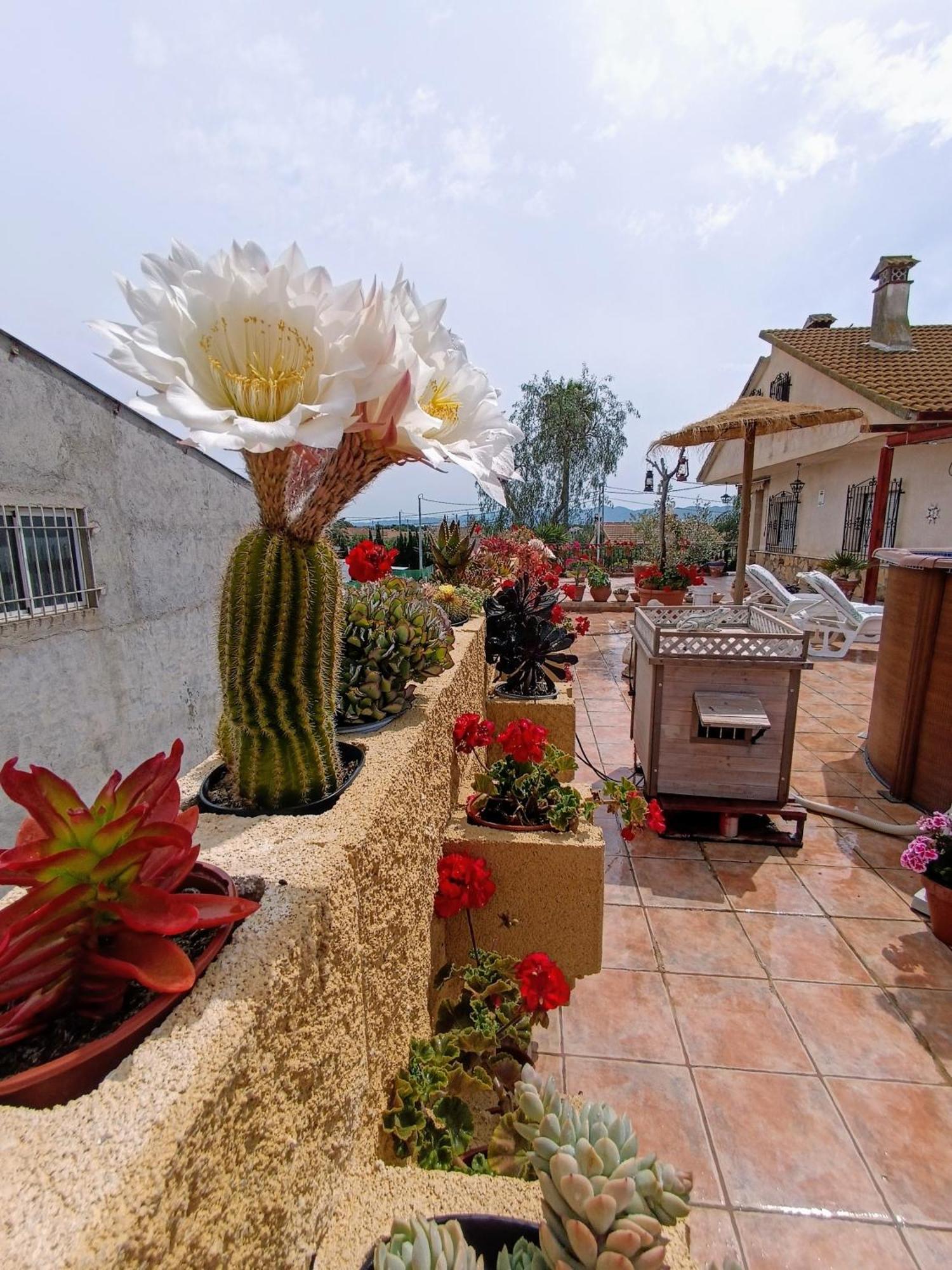 Casa Chalet Venta Ruizo Lorca (Murcia) Exterior foto